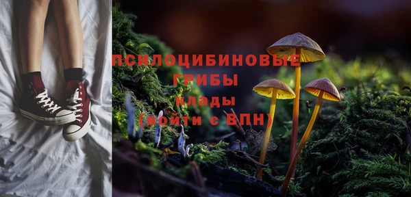 героин Алексин